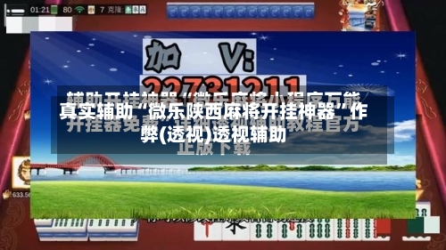 真实辅助“微乐陕西麻将开挂神器”作弊(透视)透视辅助