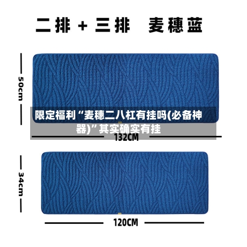 限定福利“麦穗二八杠有挂吗(必备神器)”其实确实有挂-第2张图片