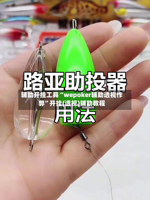 辅助开挂工具“wepoker辅助透视作弊”开挂(透视)辅助教程