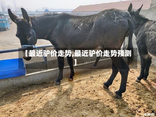【最近驴价走势,最近驴价走势预测】-第2张图片
