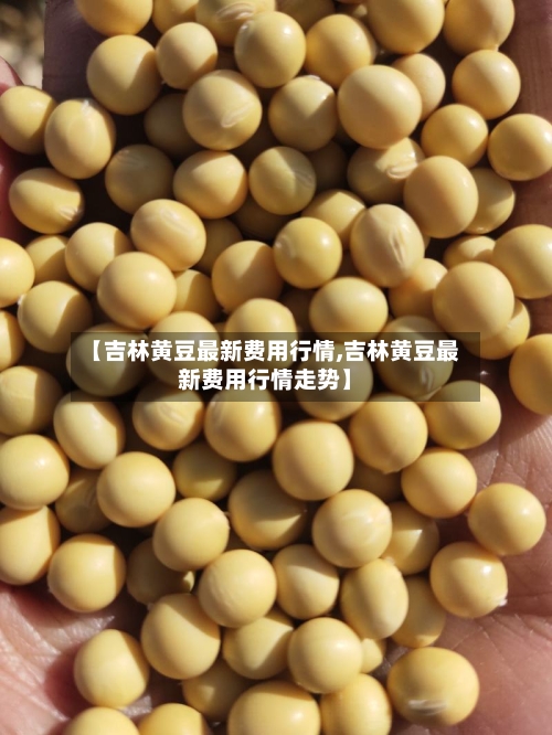 【吉林黄豆最新费用行情,吉林黄豆最新费用行情走势】