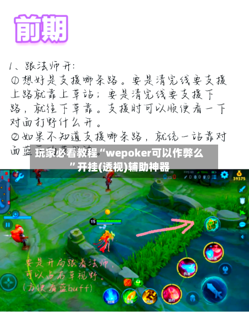 玩家必看教程“wepoker可以作弊么”开挂(透视)辅助神器-第3张图片