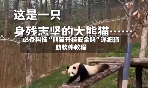 必备科技“熊猫开挂安全吗”详细辅助软件教程