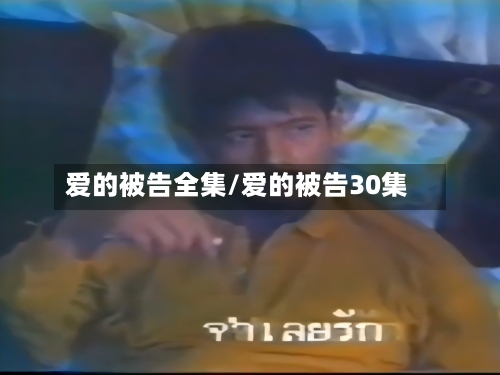 爱的被告全集/爱的被告30集