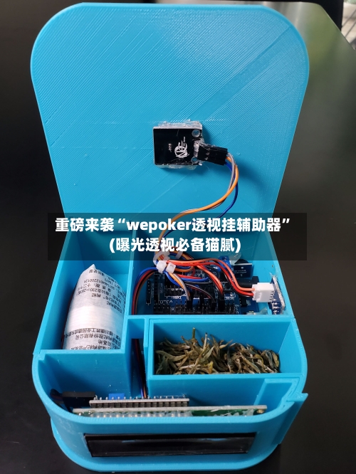 重磅来袭“wepoker透视挂辅助器”(曝光透视必备猫腻)-第3张图片