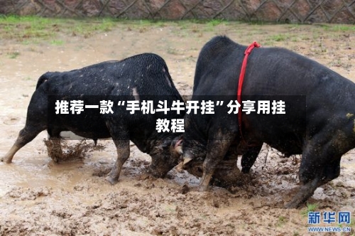 推荐一款“手机斗牛开挂”分享用挂教程-第2张图片