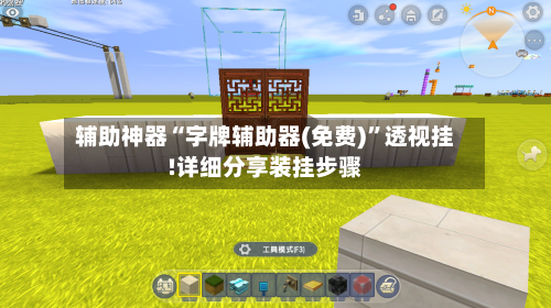 辅助神器“字牌辅助器(免费)	”透视挂!详细分享装挂步骤-第2张图片