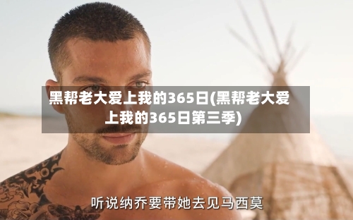 黑帮老大爱上我的365日(黑帮老大爱上我的365日第三季)-第3张图片