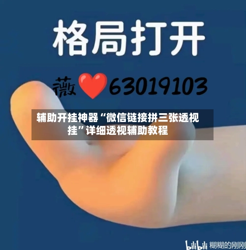 辅助开挂神器“微信链接拼三张透视挂”详细透视辅助教程-第3张图片