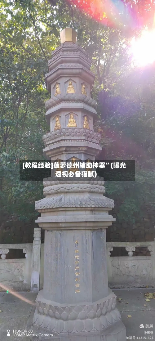 [教程经验]菠萝德州辅助神器”(曝光透视必备猫腻)-第3张图片