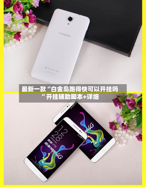 最新一款“白金岛跑得快可以开挂吗”开挂辅助脚本+详细