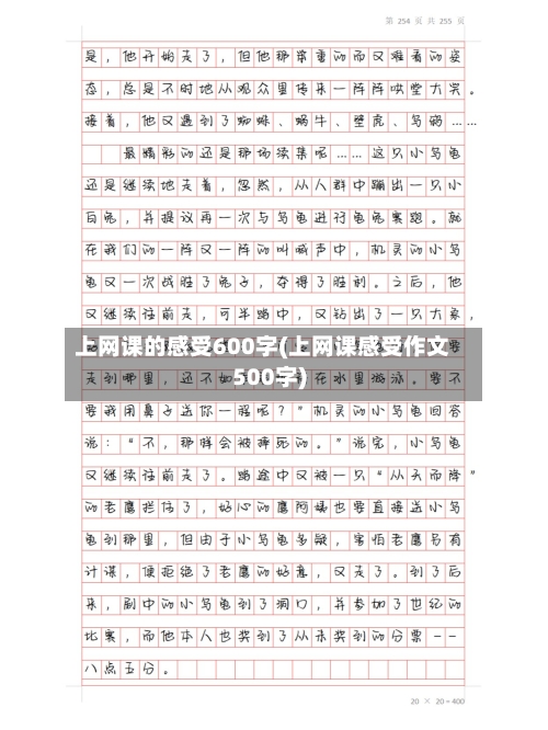 上网课的感受600字(上网课感受作文500字)