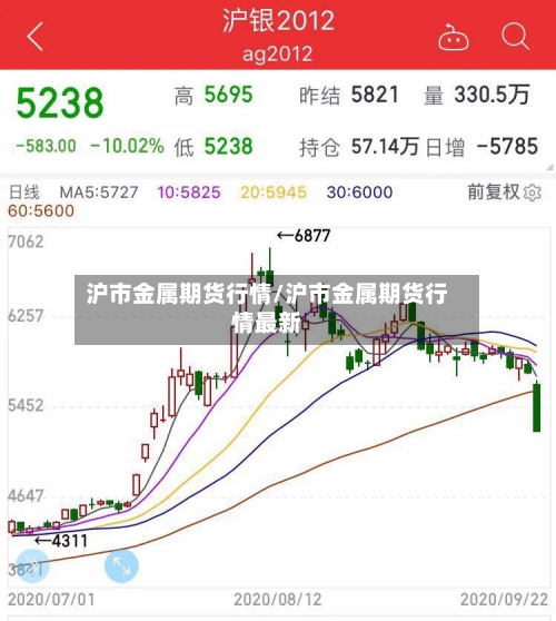 沪市金属期货行情/沪市金属期货行情最新