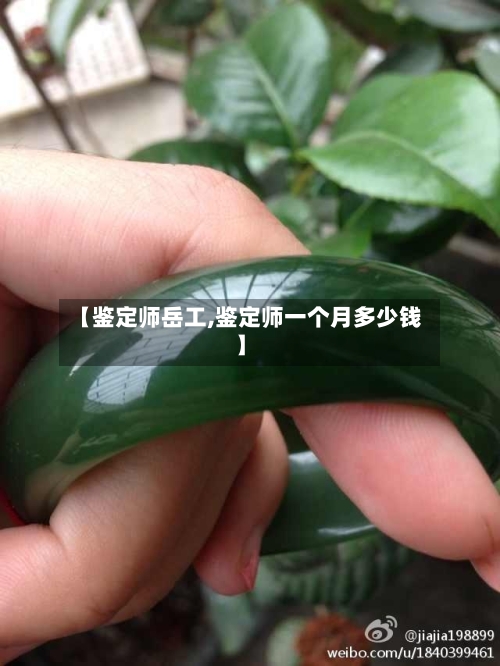 【鉴定师岳工,鉴定师一个月多少钱】