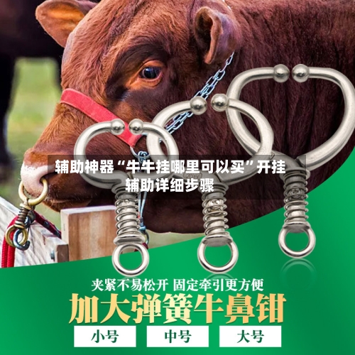 辅助神器“牛牛挂哪里可以买”开挂辅助详细步骤