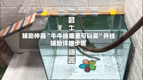 辅助神器“牛牛挂哪里可以买”开挂辅助详细步骤-第2张图片