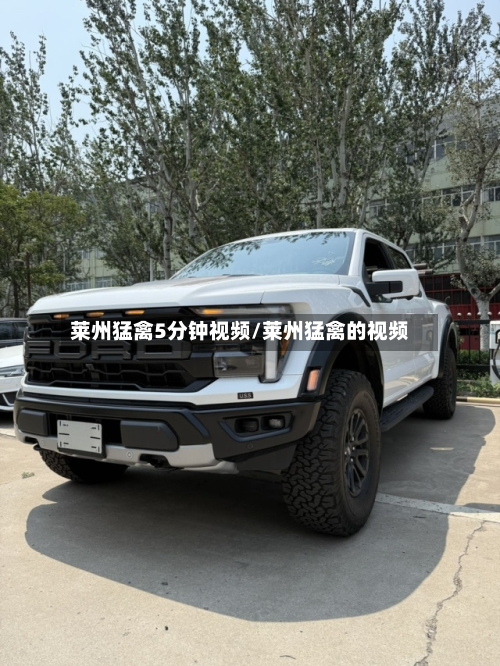 莱州猛禽5分钟视频/莱州猛禽的视频-第2张图片