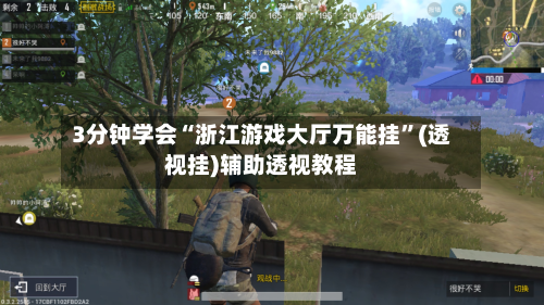 3分钟学会“浙江游戏大厅万能挂”(透视挂)辅助透视教程-第2张图片