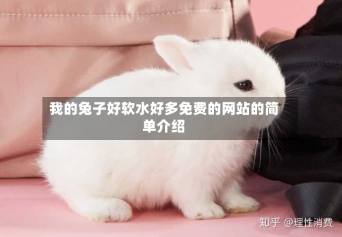 我的兔子好软水好多免费的网站的简单介绍