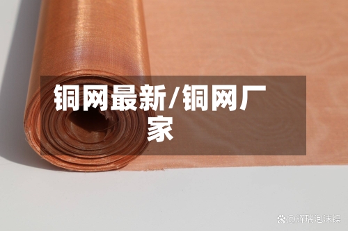 铜网最新/铜网厂家