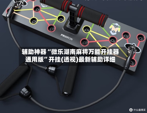 辅助神器“微乐湖南麻将万能开挂器通用版”开挂(透视)最新辅助详细