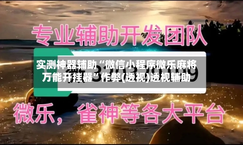 实测神器辅助“微信小程序微乐麻将万能开挂器”作弊(透视)透视辅助-第2张图片