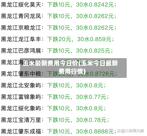 玉米最新费用今日价(玉米今日最新费用行情)