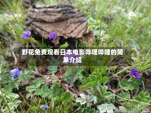 野花免费观看日本电影哔哩哔哩的简单介绍-第2张图片