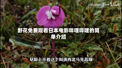 野花免费观看日本电影哔哩哔哩的简单介绍