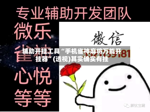 辅助开挂工具“手机雀神麻将万能开挂器”(透视)其实确实有挂-第2张图片