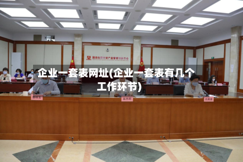 企业一套表网址(企业一套表有几个工作环节)