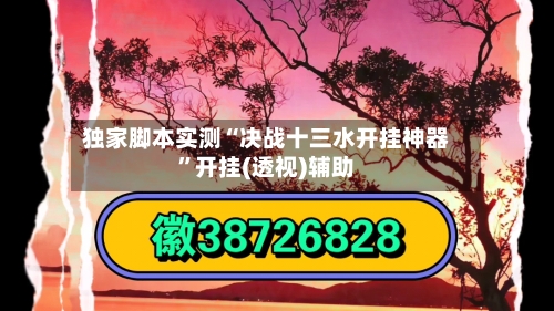 独家脚本实测“决战十三水开挂神器”开挂(透视)辅助-第2张图片