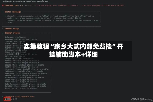 实操教程“家乡大贰内部免费挂”开挂辅助脚本+详细-第3张图片