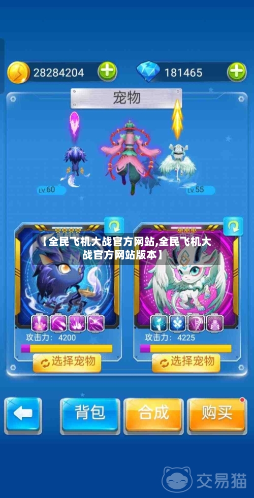 【全民飞机大战官方网站,全民飞机大战官方网站版本】