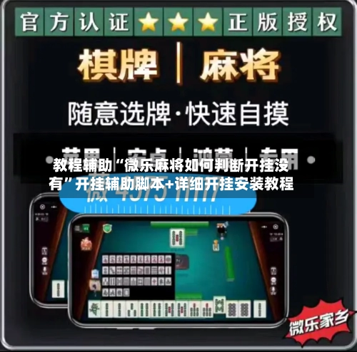 教程辅助“微乐麻将如何判断开挂没有”开挂辅助脚本+详细开挂安装教程-第3张图片