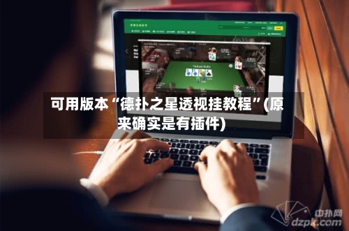 可用版本“德扑之星透视挂教程”(原来确实是有插件)-第3张图片