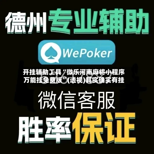 开挂辅助工具“微乐河南麻将小程序万能挂免费版”(透视)其实确实有挂-第3张图片