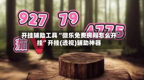 开挂辅助工具“微乐免费房间怎么开挂	”开挂(透视)辅助神器-第2张图片