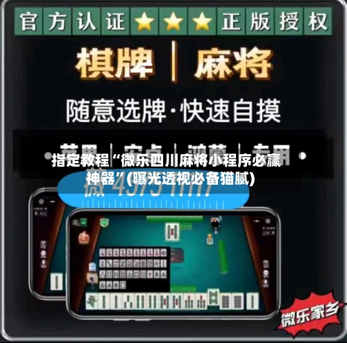 指定教程“微乐四川麻将小程序必赢神器”(曝光透视必备猫腻)-第2张图片