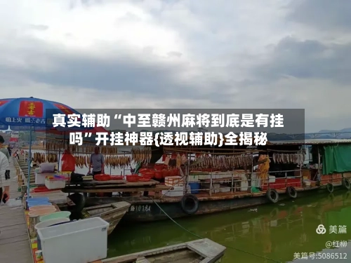 真实辅助“中至赣州麻将到底是有挂吗”开挂神器{透视辅助}全揭秘-第3张图片