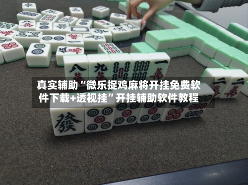 真实辅助“微乐捉鸡麻将开挂免费软件下载+透视挂”开挂辅助软件教程-第3张图片