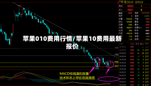苹果010费用行情/苹果10费用最新报价