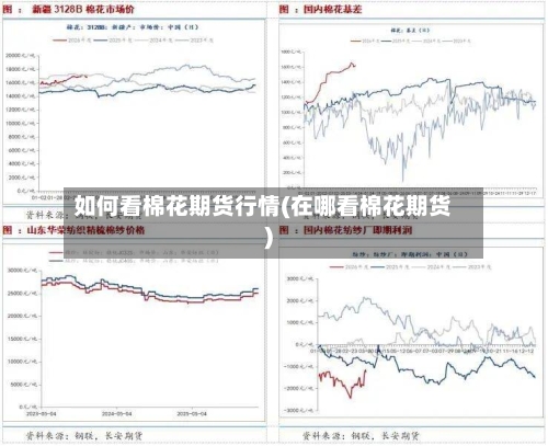 如何看棉花期货行情(在哪看棉花期货)