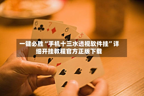 一键必胜“手机十三水透视软件挂”详细开挂教程官方正版下载-第2张图片