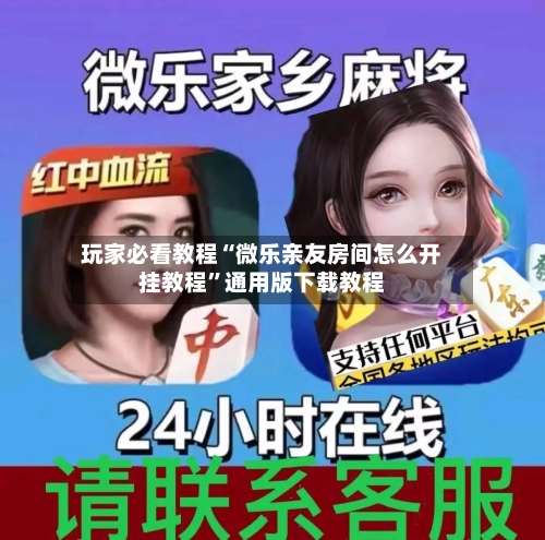 玩家必看教程“微乐亲友房间怎么开挂教程”通用版下载教程-第2张图片