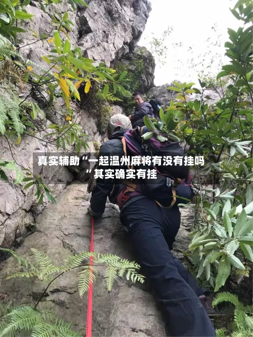 真实辅助“一起温州麻将有没有挂吗”其实确实有挂-第3张图片