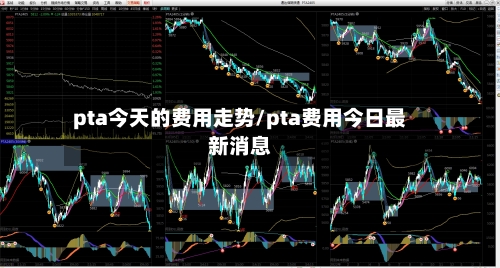 pta今天的费用走势/pta费用今日最新消息