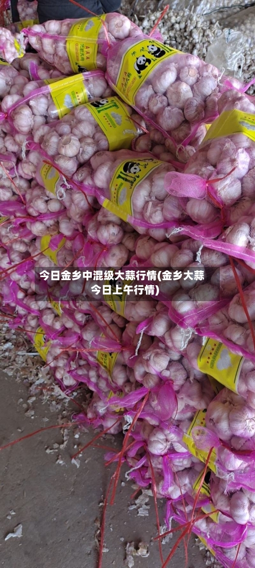 今日金乡中混级大蒜行情(金乡大蒜今日上午行情)