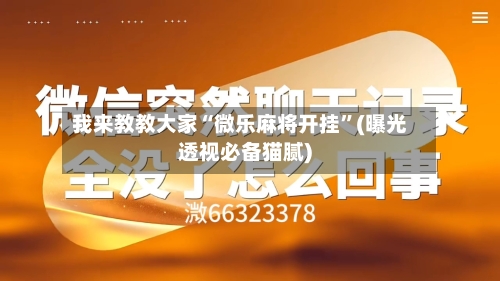 我来教教大家“微乐麻将开挂”(曝光透视必备猫腻)-第2张图片