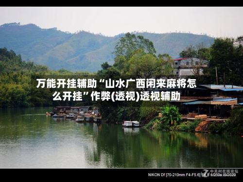 万能开挂辅助“山水广西闲来麻将怎么开挂	”作弊(透视)透视辅助-第2张图片